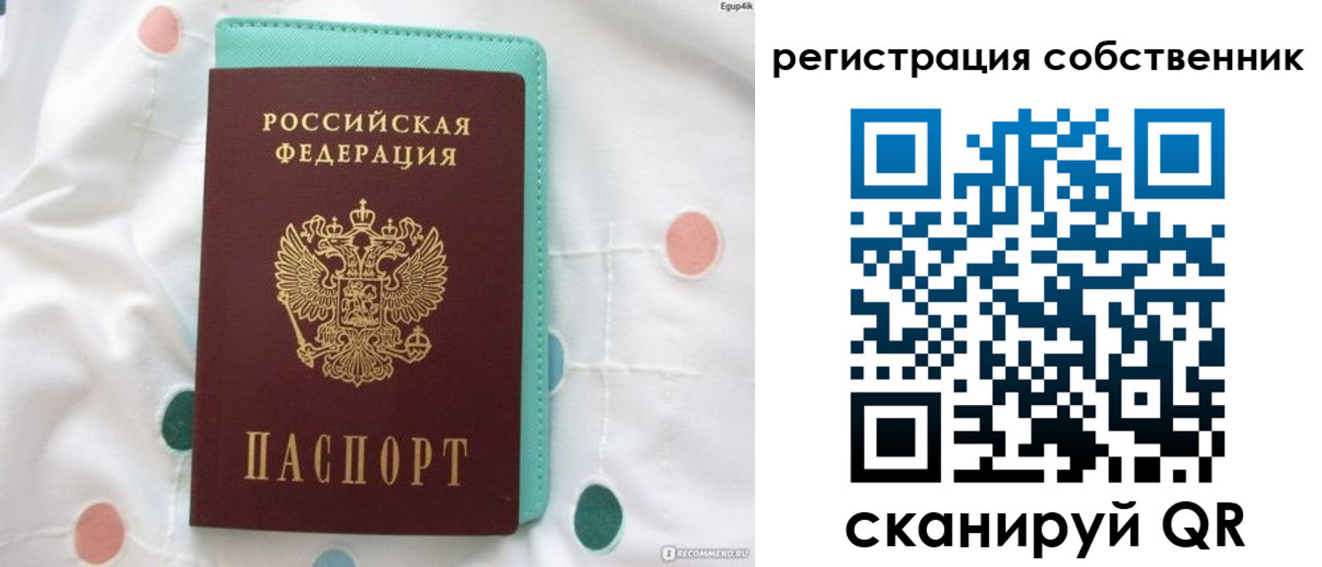 прописка для школы в Светлограде